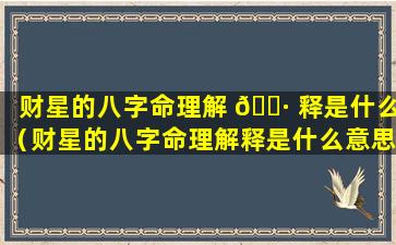 财星的八字命理解 🌷 释是什么（财星的八字命理解释是什么意思）